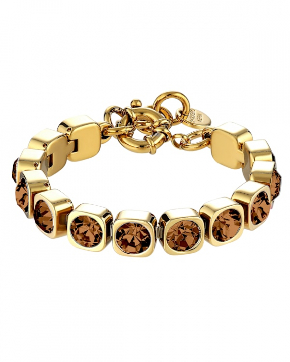 CONIAN BROWN Armband Guld i gruppen Armband / Guldarmband hos SCANDINAVIAN JEWELRY DESIGN (450152)