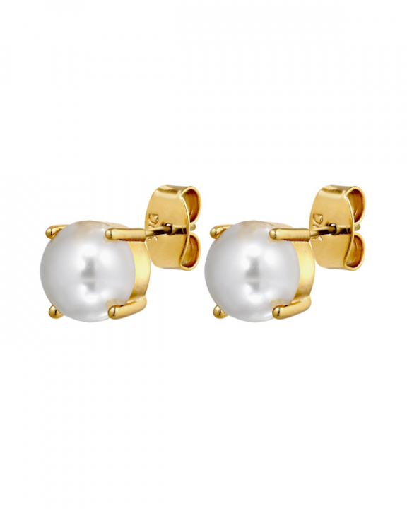 DAZE WHITE PEARL Örhängen Guld i gruppen Örhängen / Pärlörhängen hos SCANDINAVIAN JEWELRY DESIGN (470135)