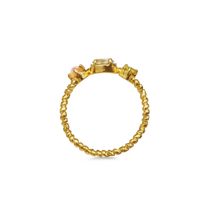 Solange Ring Guld i gruppen Ringar hos SCANDINAVIAN JEWELRY DESIGN (4735A)
