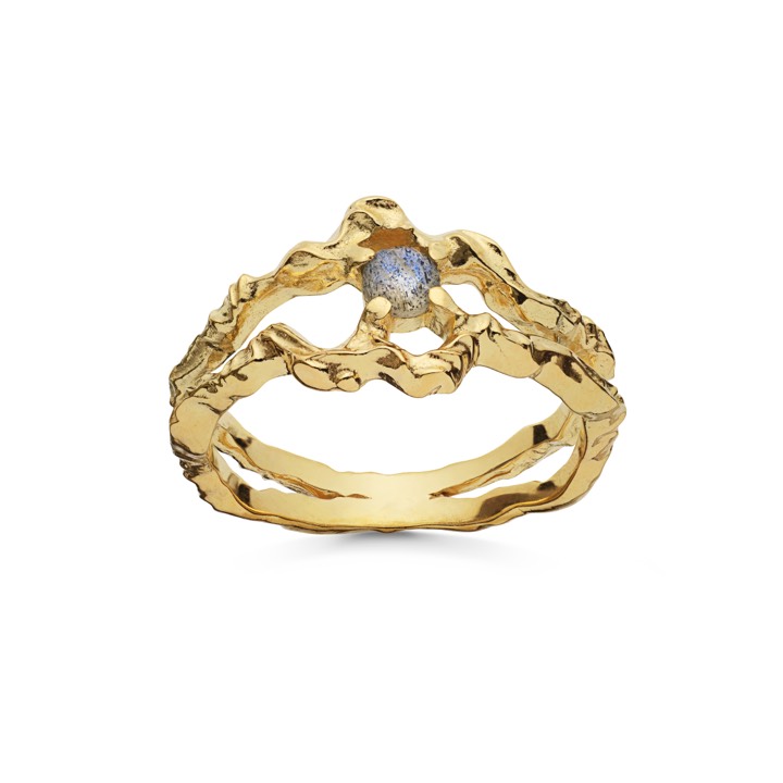Shelly ring (guld) i gruppen Ringar / Guldringar hos SCANDINAVIAN JEWELRY DESIGN (4738a)