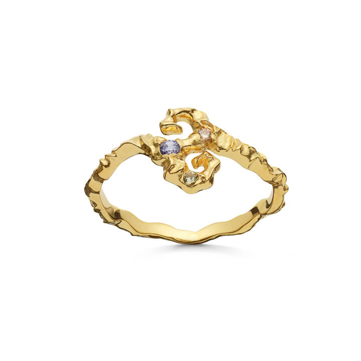 Tenti Ring Guld i gruppen Ringar hos SCANDINAVIAN JEWELRY DESIGN (4739A)