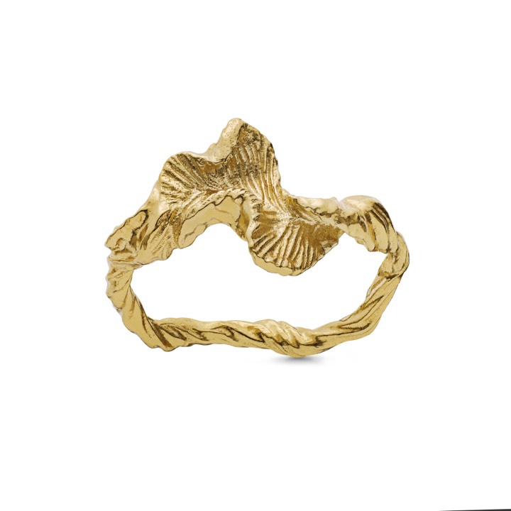 Nino ring (guld) i gruppen Ringar / Guldringar hos SCANDINAVIAN JEWELRY DESIGN (4756a)