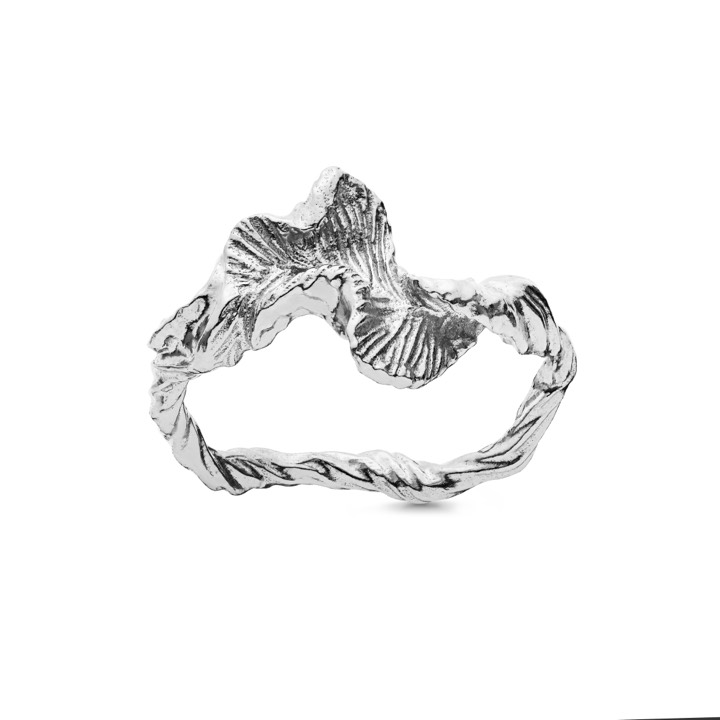 Nino ring (silver) i gruppen Ringar / Silverringar hos SCANDINAVIAN JEWELRY DESIGN (4756c)