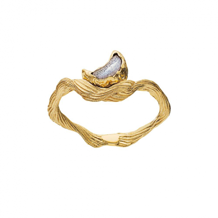 Cordelia Ring (guld) i gruppen Ringar / Guldringar hos SCANDINAVIAN JEWELRY DESIGN (4773a)