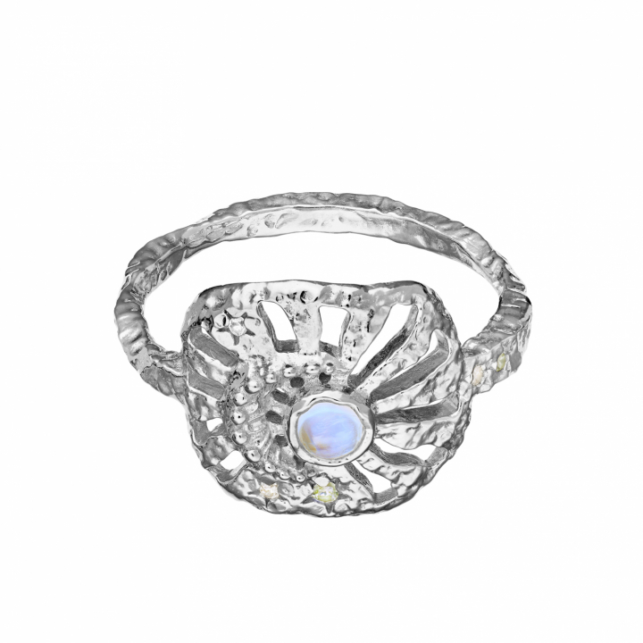 Soluna Ring Silver i gruppen Ringar hos SCANDINAVIAN JEWELRY DESIGN (4776C)