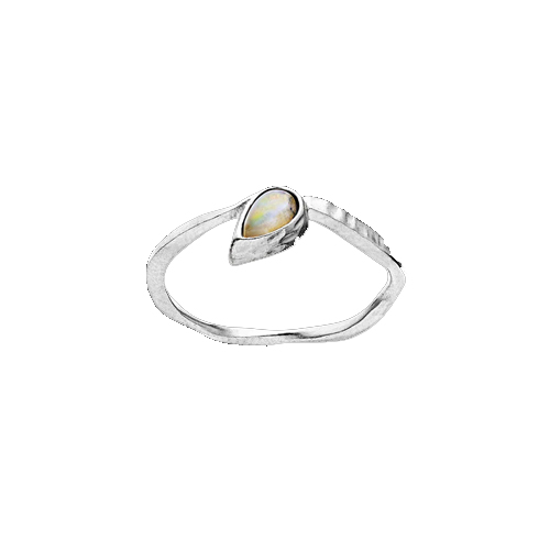 Cille Ring Silver  i gruppen Ringar / Silverringar hos SCANDINAVIAN JEWELRY DESIGN (4782c)