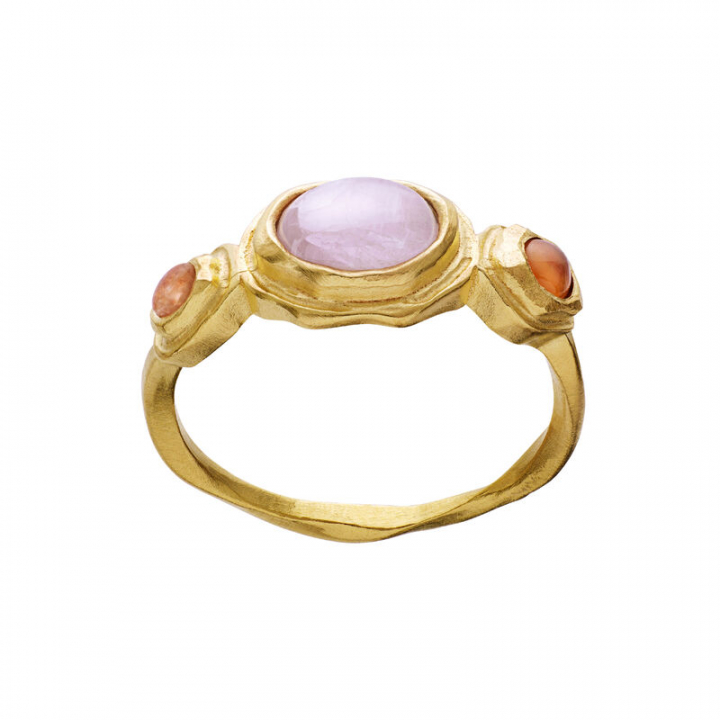 Product Image for Maanesten Nemo ring guld 65