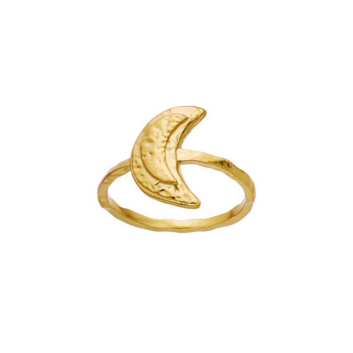 Jacinta Ring Guld i gruppen Ringar / Guldringar hos SCANDINAVIAN JEWELRY DESIGN (4811A)