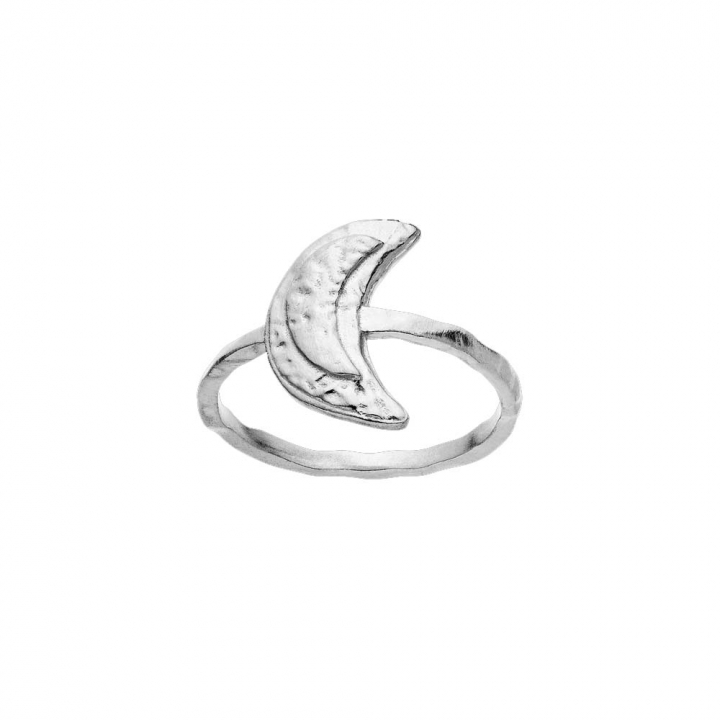 Jacinta Ring Silver i gruppen Ringar / Silverringar hos SCANDINAVIAN JEWELRY DESIGN (4811C)