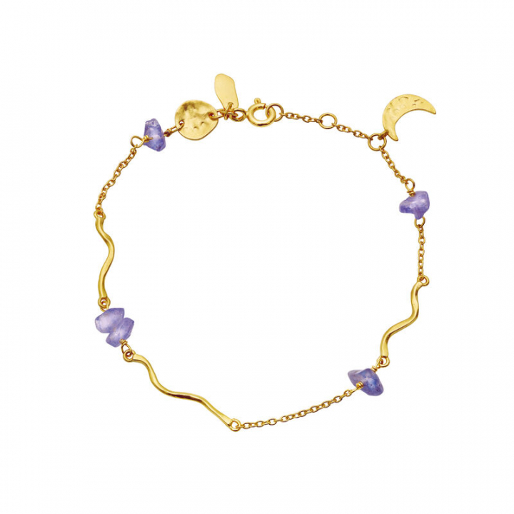 Lillith Armband Guld i gruppen Armband / Guldarmband hos SCANDINAVIAN JEWELRY DESIGN (8614A)