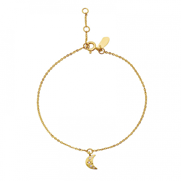 Celestia Armband Guld i gruppen Armband / Guldarmband hos SCANDINAVIAN JEWELRY DESIGN (8618A)
