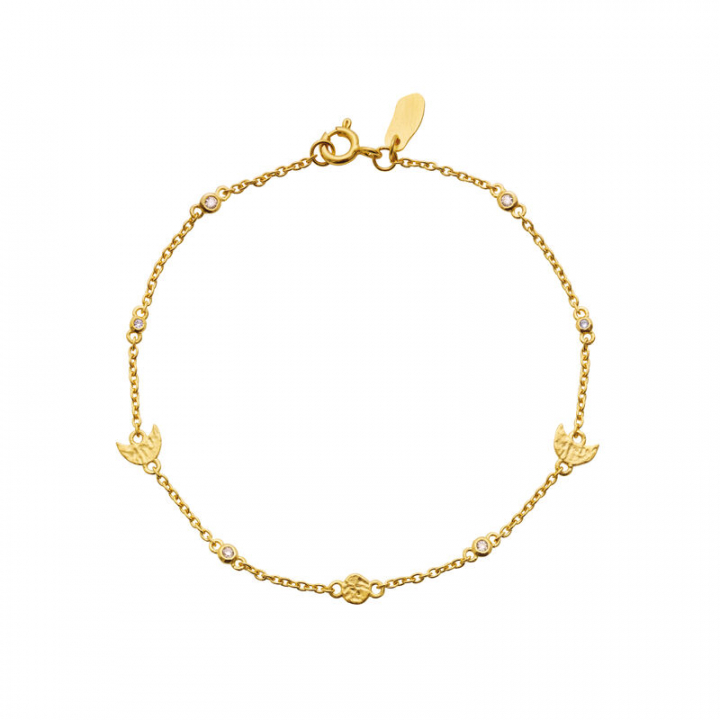 Cecilia Armband Guld i gruppen Armband / Guldarmband hos SCANDINAVIAN JEWELRY DESIGN (8619A)