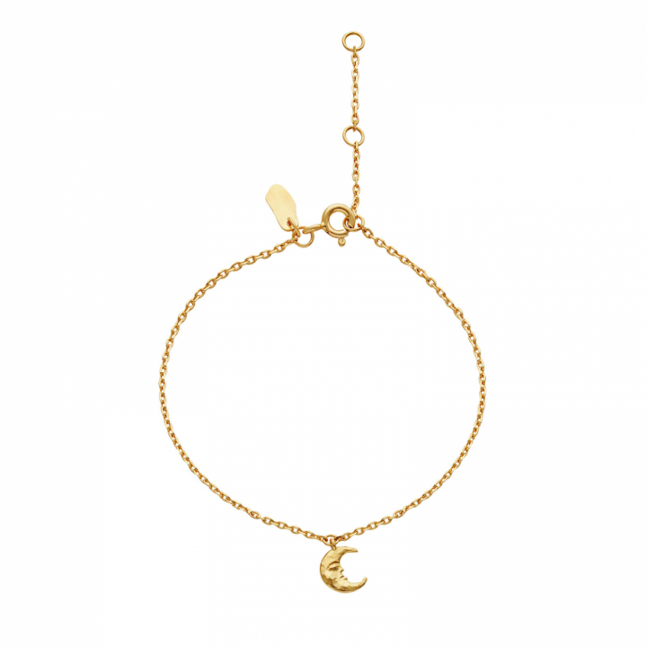 Laura Armband Guld i gruppen Armband / Guldarmband hos SCANDINAVIAN JEWELRY DESIGN (8689A)
