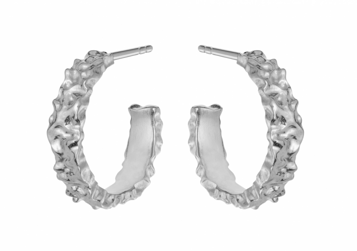 Aio Medium Örhänge Silver i gruppen Örhängen / Silverörhängen hos SCANDINAVIAN JEWELRY DESIGN (9566C)
