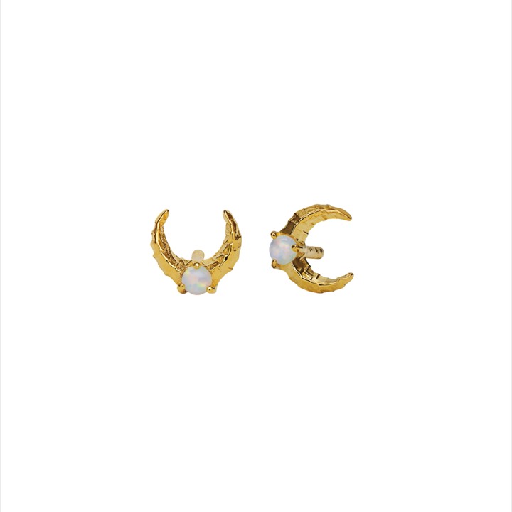 Nynette örhänge (guld) i gruppen Örhängen / Guldörhängen hos SCANDINAVIAN JEWELRY DESIGN (9618a)