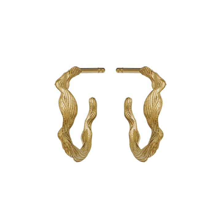 Ara örhänge (guld) i gruppen Örhängen / Guldörhängen hos SCANDINAVIAN JEWELRY DESIGN (9696a)