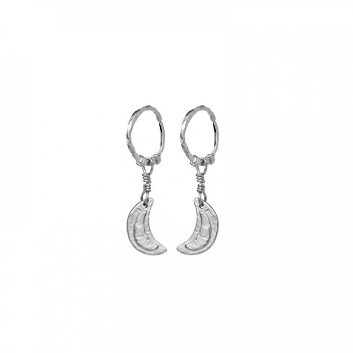 Odessa Örhänge Silver i gruppen Örhängen / Silverörhängen hos SCANDINAVIAN JEWELRY DESIGN (9841C)