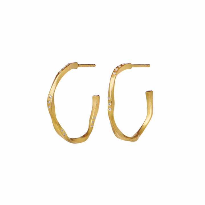 Echo Medium Örhänge Guld i gruppen Örhängen / Guldörhängen hos SCANDINAVIAN JEWELRY DESIGN (9862A)