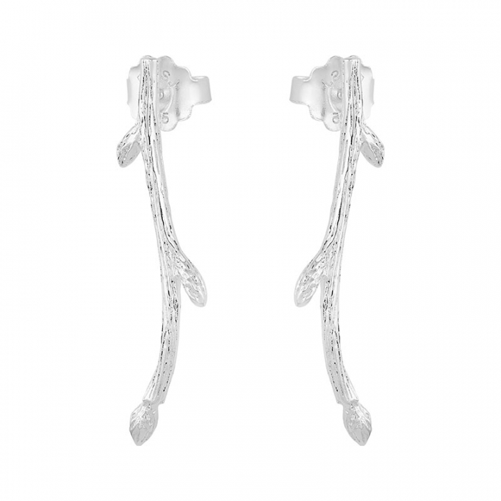 Branch earrings i gruppen Örhängen / Silverörhängen hos SCANDINAVIAN JEWELRY DESIGN (BAH-E2M000-S)