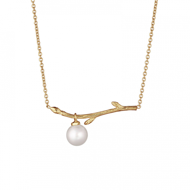 Branch pearl necklace gold i gruppen Örhängen / Guldörhängen hos SCANDINAVIAN JEWELRY DESIGN (BAH-N1M2501-G)