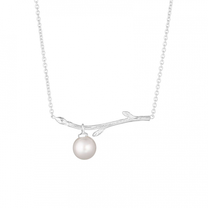Branch pearl necklace i gruppen Halsband / Silverhalsband hos SCANDINAVIAN JEWELRY DESIGN (BAH-N1M2501-S)