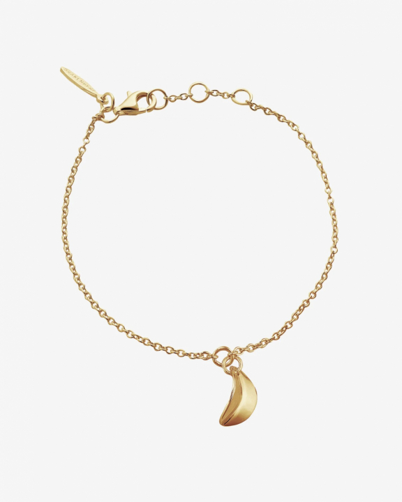 Botanica drop bracelet gold i gruppen Armband / Guldarmband hos SCANDINAVIAN JEWELRY DESIGN (BTA-B1S181-G)