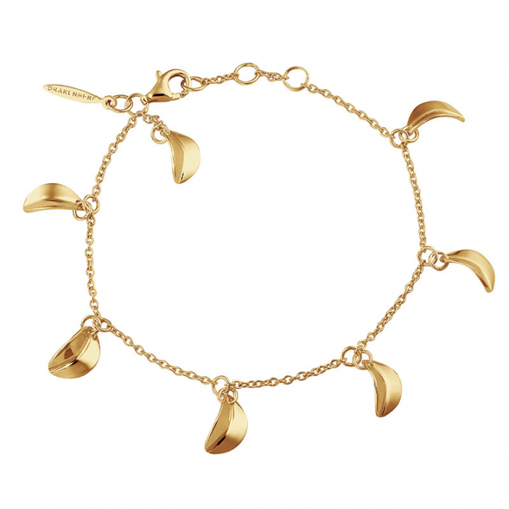 Botanica drop full bracelet gold i gruppen Armband / Guldarmband hos SCANDINAVIAN JEWELRY DESIGN (BTA-B2S181-G)
