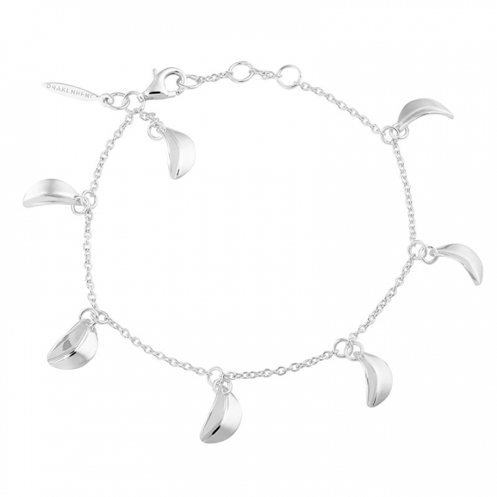 Botanica drop full bracelet i gruppen Armband / Silverarmband hos SCANDINAVIAN JEWELRY DESIGN (BTA-B2S181-S)