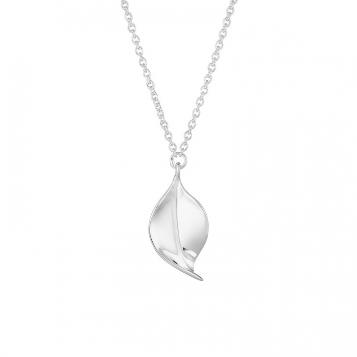 Botanica single necklace i gruppen Halsband / Silverhalsband hos SCANDINAVIAN JEWELRY DESIGN (BTA-N1M2501-S)