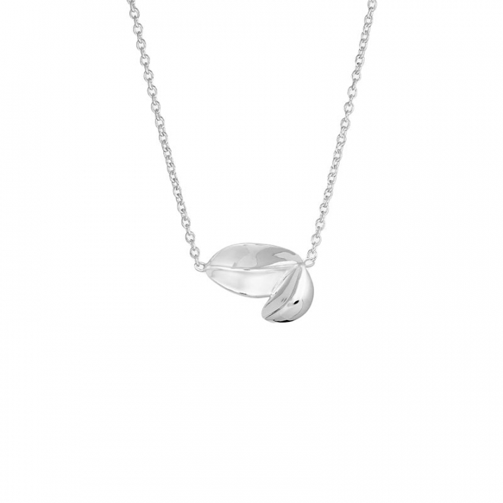 Botanica double necklace i gruppen Halsband / Silverhalsband hos SCANDINAVIAN JEWELRY DESIGN (BTA-N1M501-S)