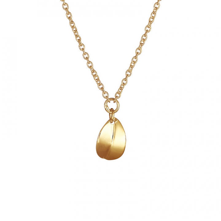 Botanica drop necklace gold i gruppen Halsband / Guldhalsband hos SCANDINAVIAN JEWELRY DESIGN (BTA-N1S451-G)