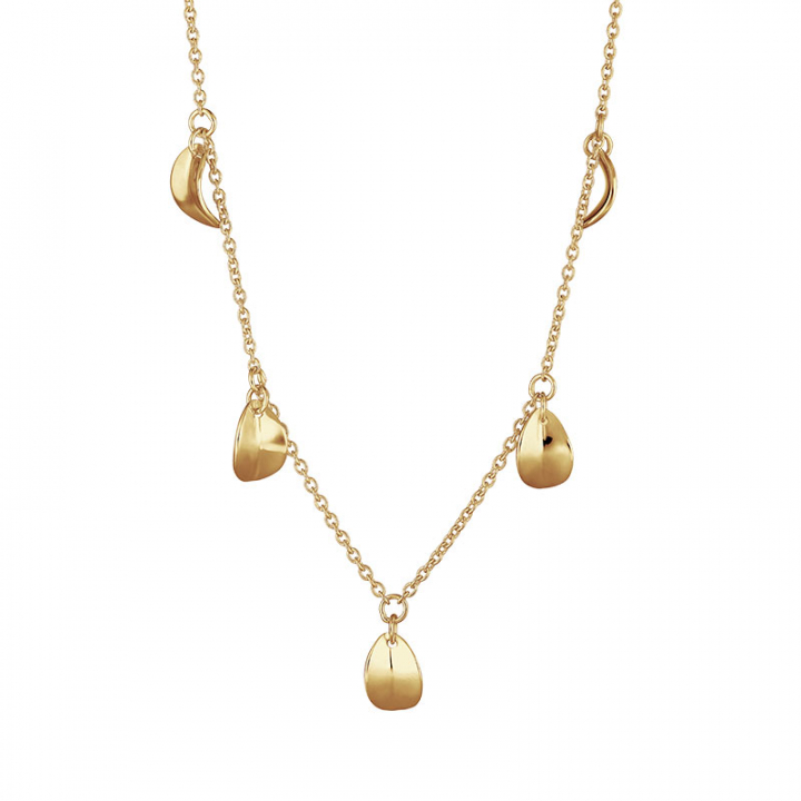 Botanica drop full necklace gold i gruppen Halsband / Guldhalsband hos SCANDINAVIAN JEWELRY DESIGN (BTA-N3S501-G)