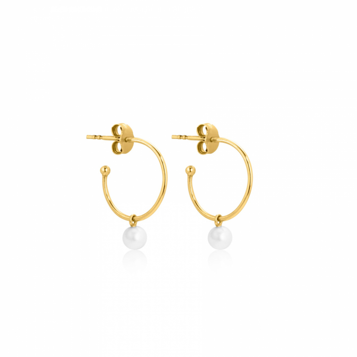 Pearl Mini Hoops örhänge (guld) i gruppen Örhängen / Pärlörhängen hos SCANDINAVIAN JEWELRY DESIGN (E2105GPS0-OS)