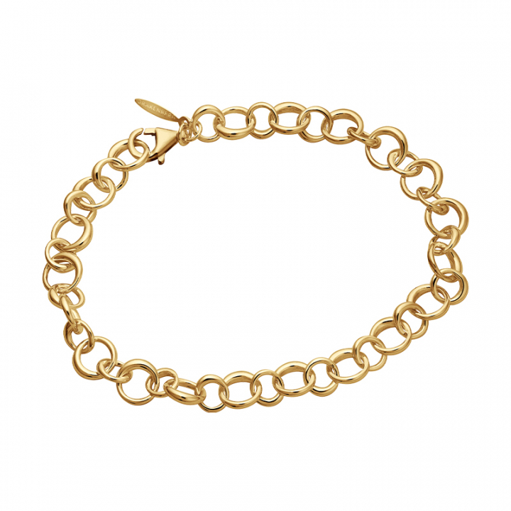 DRAKENBERG SJÖLIN Les Amis drop chain Armband Guld