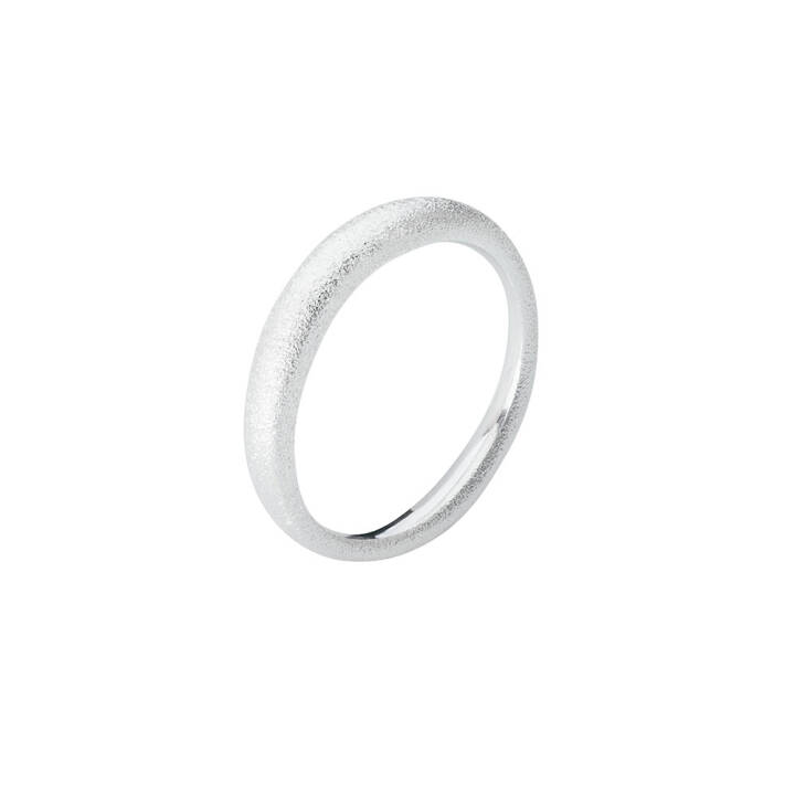 DRAKENBERG SJÖLIN Les Amis ring matte 17,5 Silver