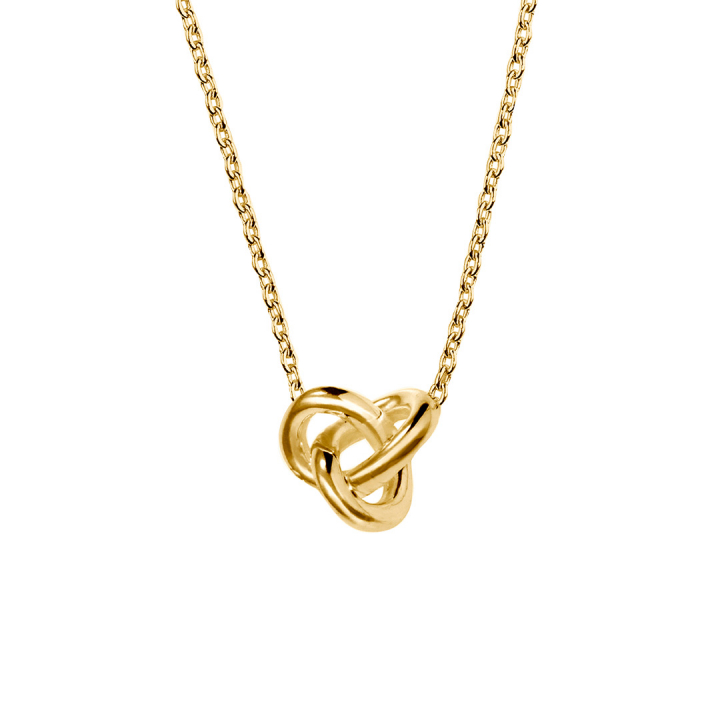 Le Knot Halsband Guld i gruppen Halsband / Guldhalsband hos SCANDINAVIAN JEWELRY DESIGN (LKT-N1M000-G)