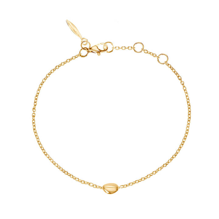 DRAKENBERG SJÖLIN Morning Dew petite armband guld