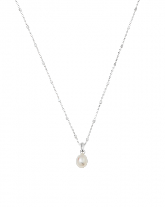 Treasure Single Pearl Halsband Silver i gruppen Halsband / Silverhalsband hos SCANDINAVIAN JEWELRY DESIGN (NS1353)