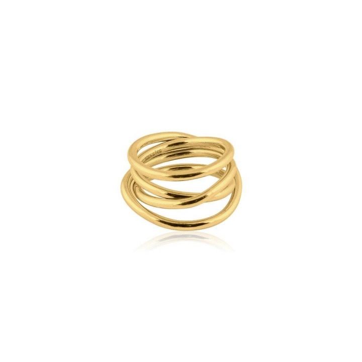Chaos Ring (guld) i gruppen Ringar hos SCANDINAVIAN JEWELRY DESIGN (R1921GPB0)