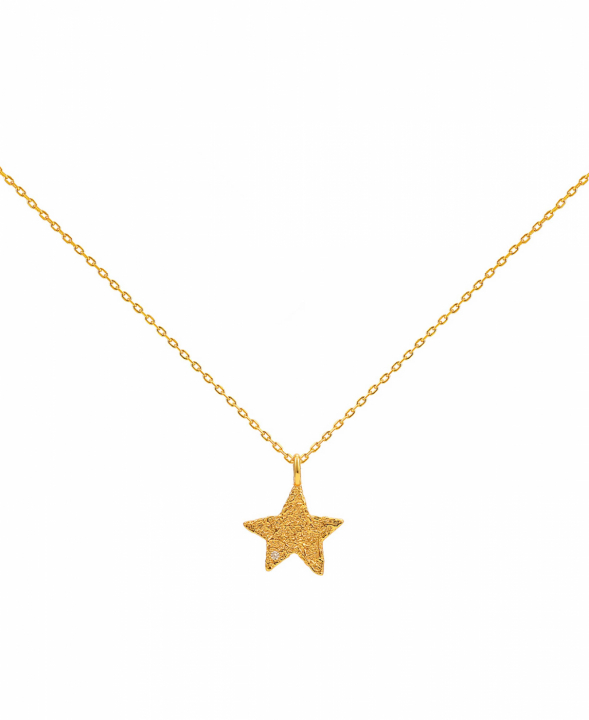 Astra Halsband Guld i gruppen Halsband / Guldhalsband hos SCANDINAVIAN JEWELRY DESIGN (S08539G)