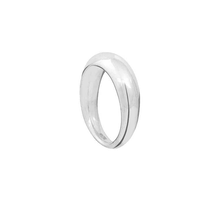 Stardust ring polished silver i gruppen Ringar / Silverringar hos SCANDINAVIAN JEWELRY DESIGN (SDT-R4M-S)