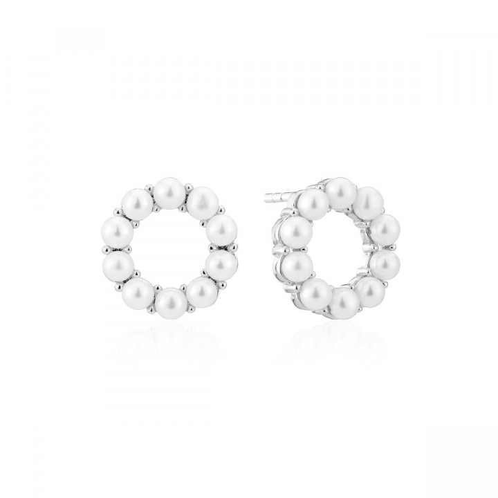 BIELLA ALTRO PERLA EARRINGS i gruppen Örhängen / Pärlörhängen hos SCANDINAVIAN JEWELRY DESIGN (SJ-E2433-P)