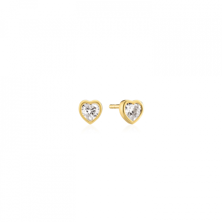 AMORINO EARRINGS Guld i gruppen Örhängen / Guldörhängen hos SCANDINAVIAN JEWELRY DESIGN (SJ-E2492-CZ-YG)