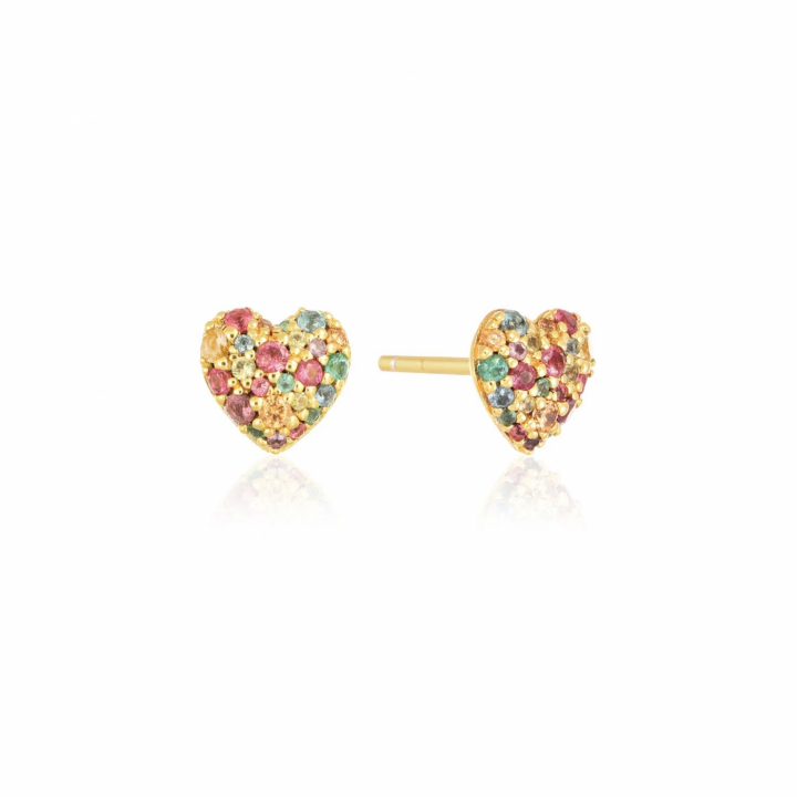 CARO Örhänge i gruppen Örhängen hos SCANDINAVIAN JEWELRY DESIGN (SJ-E72350-XCZ-YG)