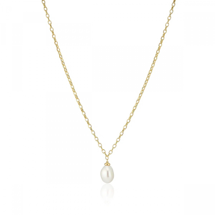 PADUA UNO NECKLACE Guld i gruppen Halsband / Guldhalsband hos SCANDINAVIAN JEWELRY DESIGN (SJ-N2455-P-YG)