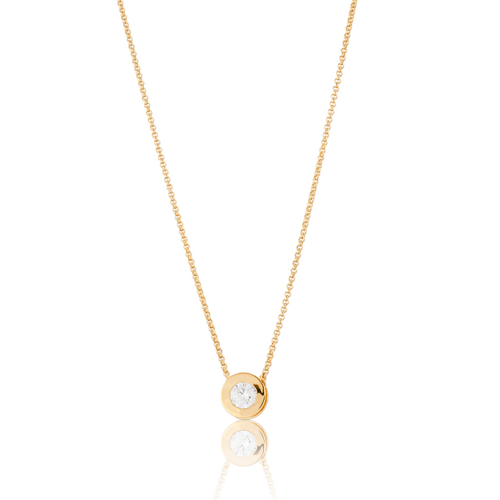 Älskad Halsband Guld i gruppen Halsband / Guldhalsband hos SCANDINAVIAN JEWELRY DESIGN (gp25)
