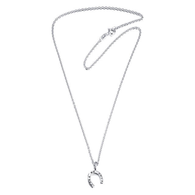 Take No Shit Hängsmycke Silver