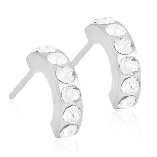 Natural Titanium Pendant Brilliance Curved 10 mm, Crystal Örhänge