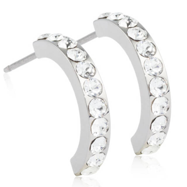 Natural Titanium Pendant Brilliance Curved 15 mm, Crystal Örhänge