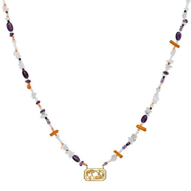 Zodiac Water Pisces Halsband (Guld)